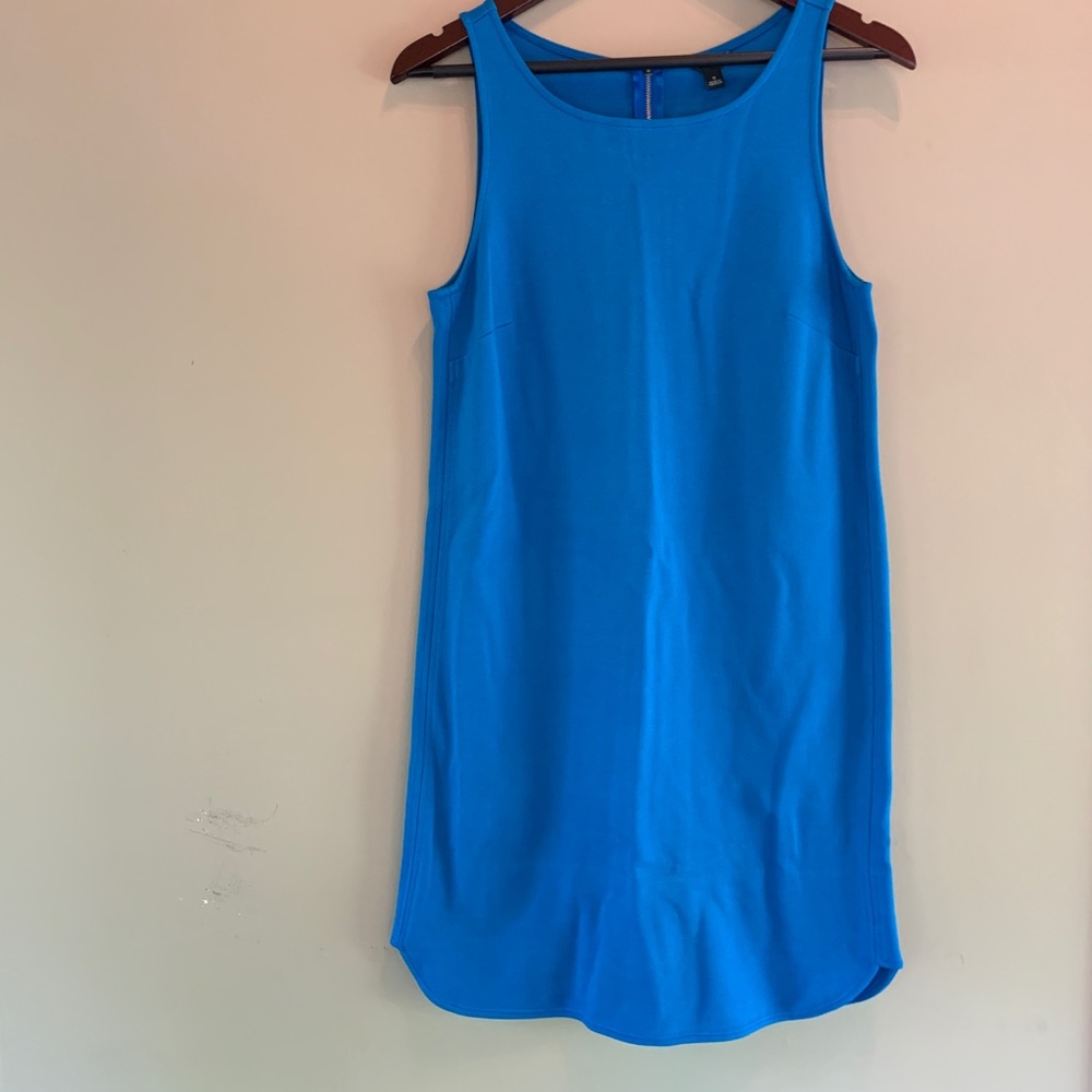 Ann Taylor Shift Dress